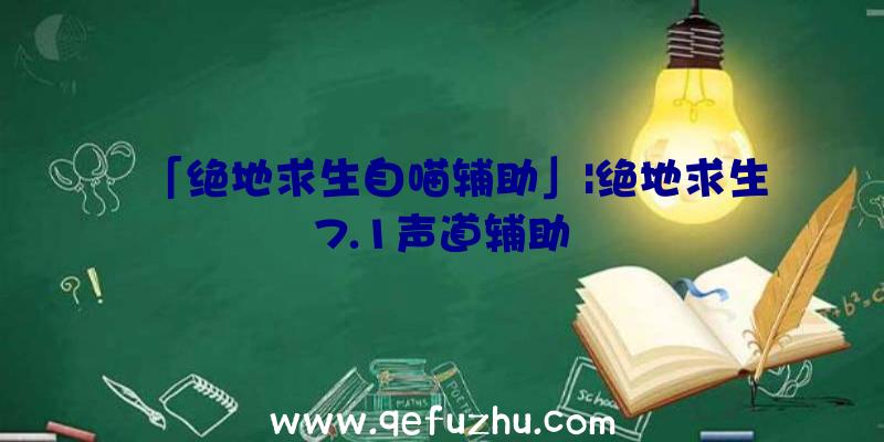 「绝地求生自喵辅助」|绝地求生7.1声道辅助